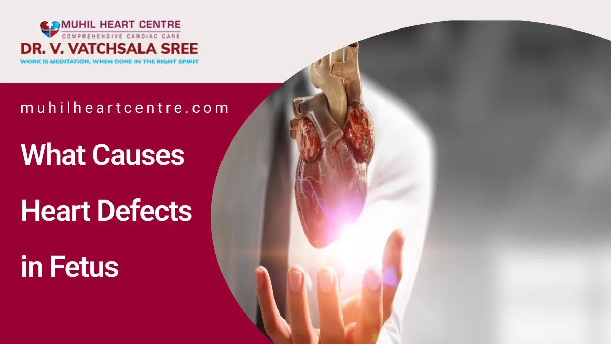What Causes Heart Defects in Fetus | muhil heart center