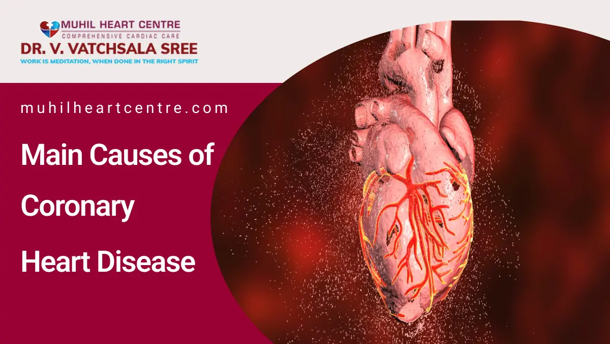 Main Causes of Coronary Heart Disease | Muhil heart center