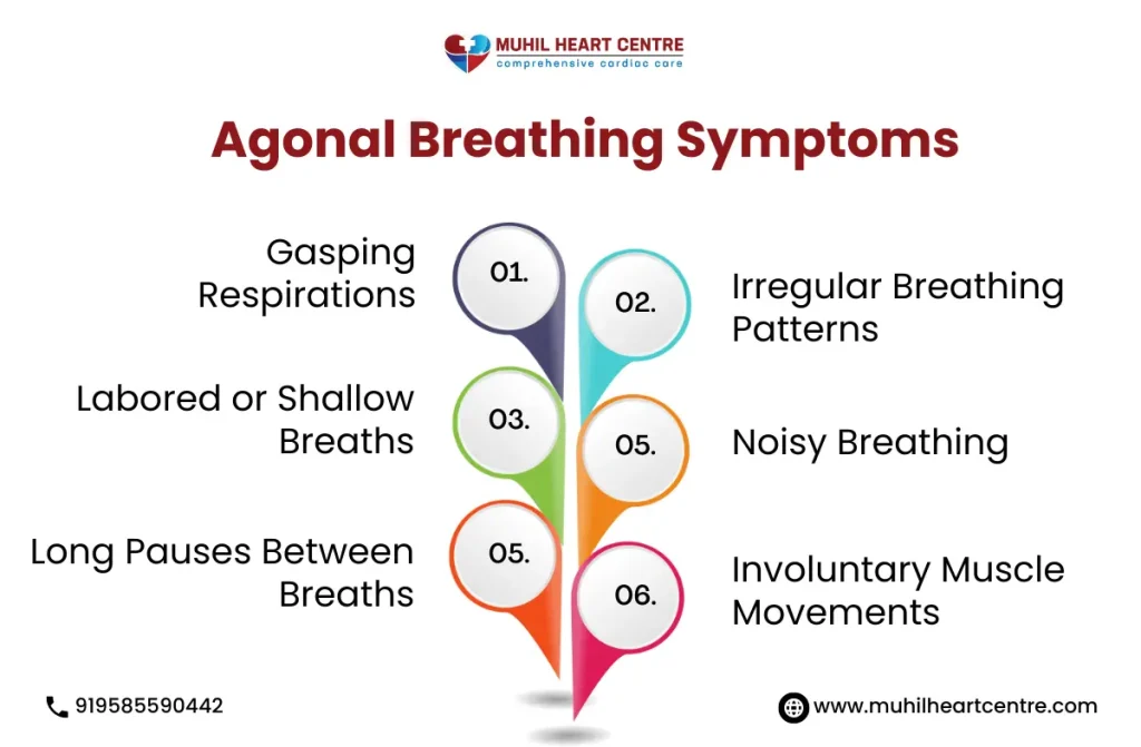 Difference between Death Rattle and Agonal Breathing