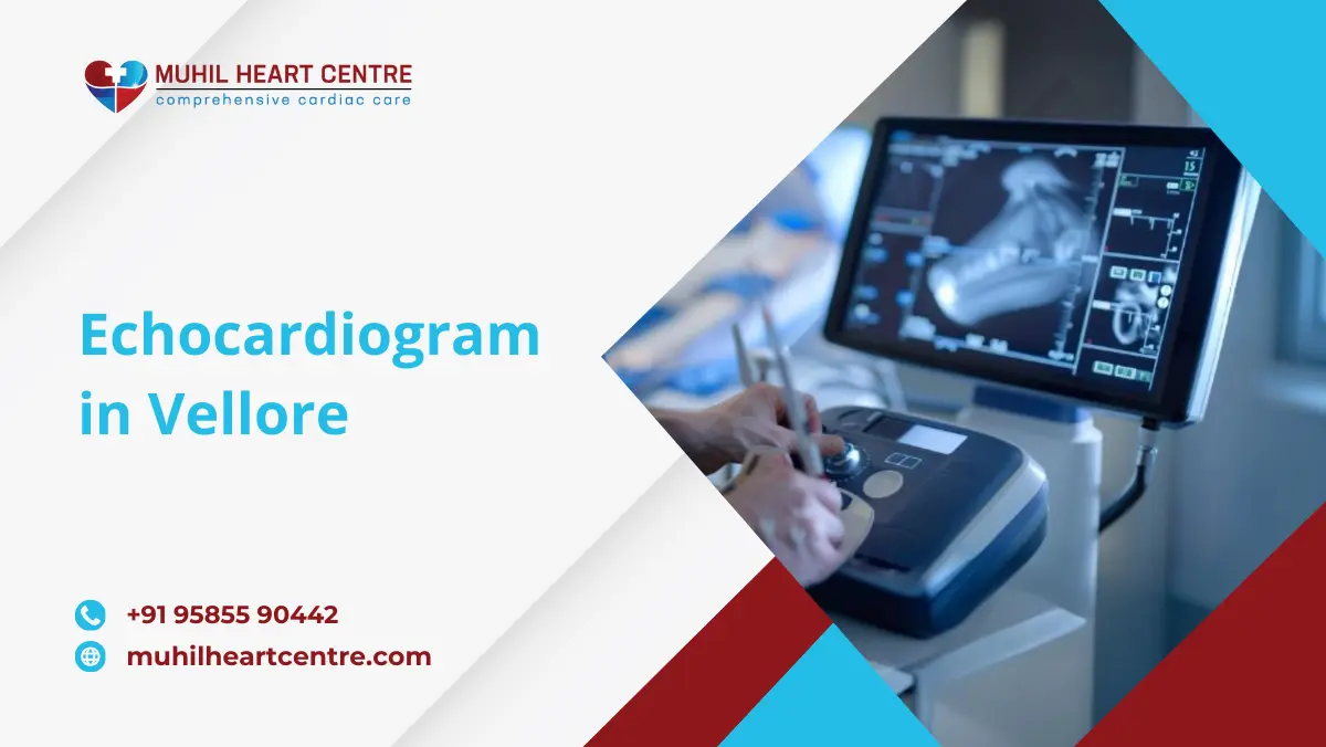 Echocardiogram in Vellore