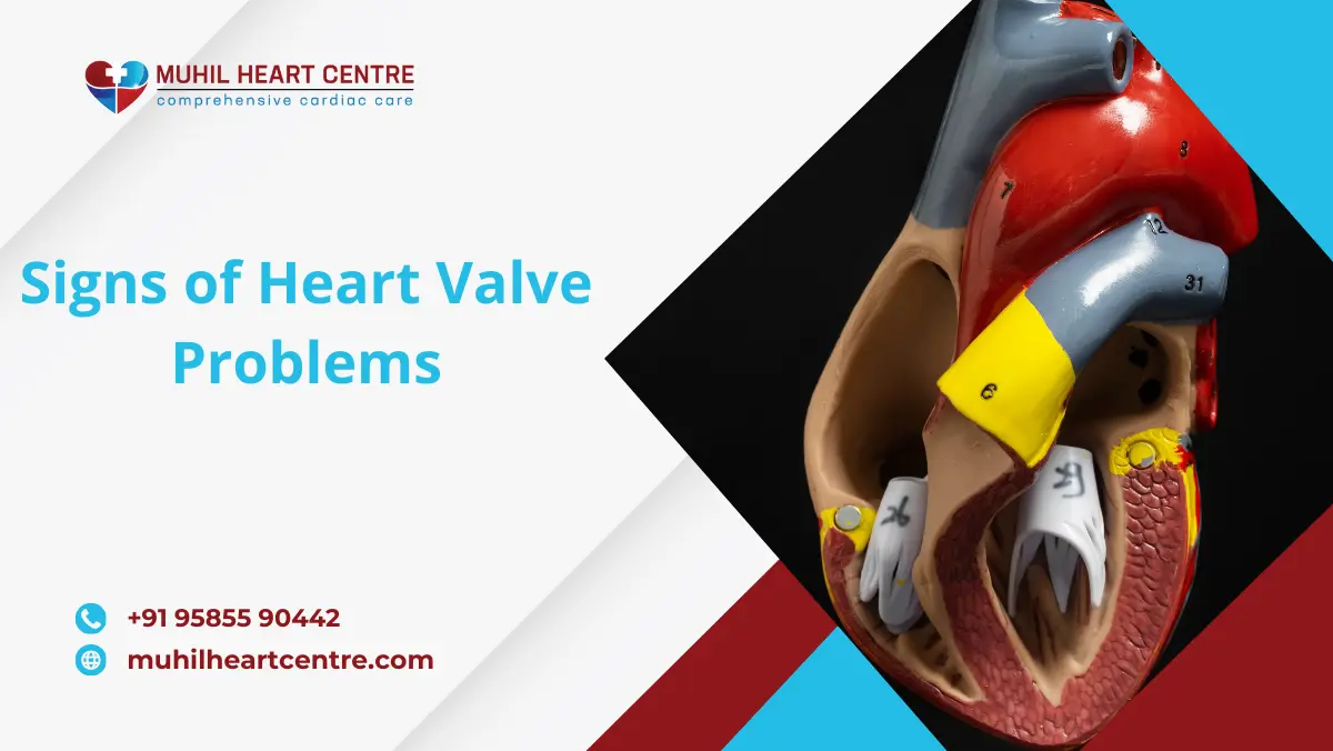 Signs of heart valve problems